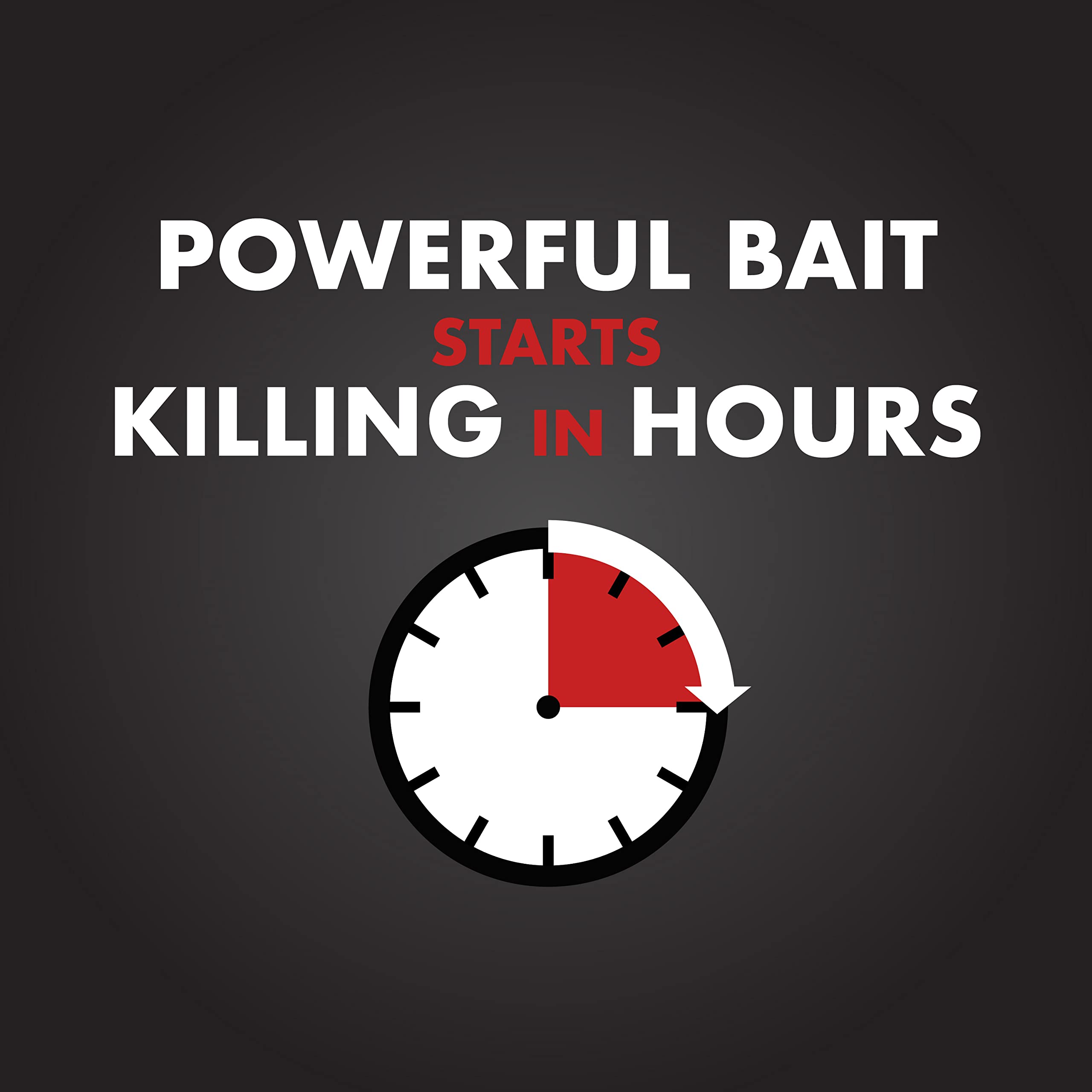 Spectracide Ant Shield Outdoor Killing Stakes 6 Count, Kills The Queen And Colony - Image 3