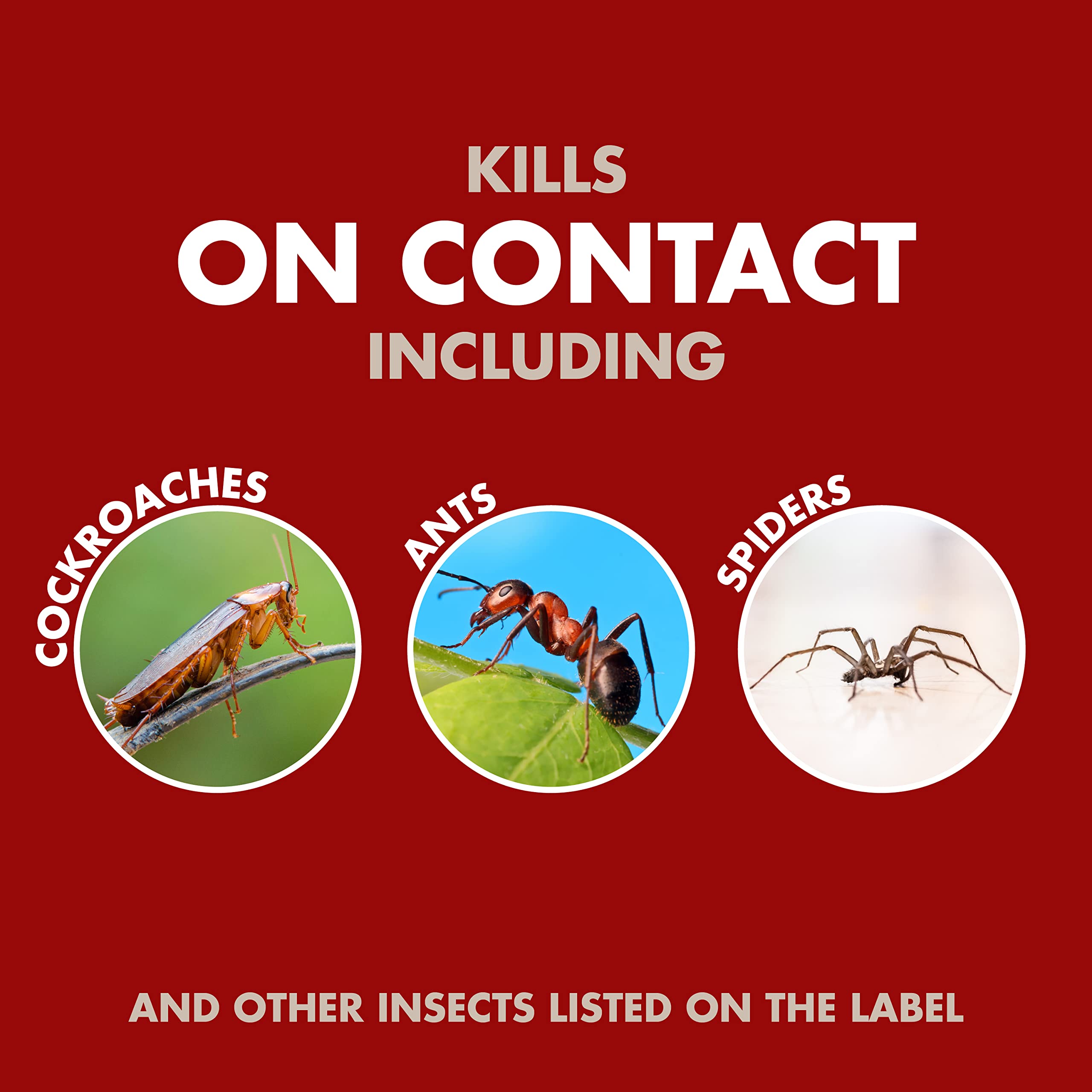 Spectracide Bug Stop Home Barrier Indoor Plus Outdoor Bug Control With Flip & Go Sprayer Kills Ants, Roaches and Spiders on Contact, 0.5 Gallon, 1 Pack - Image 3