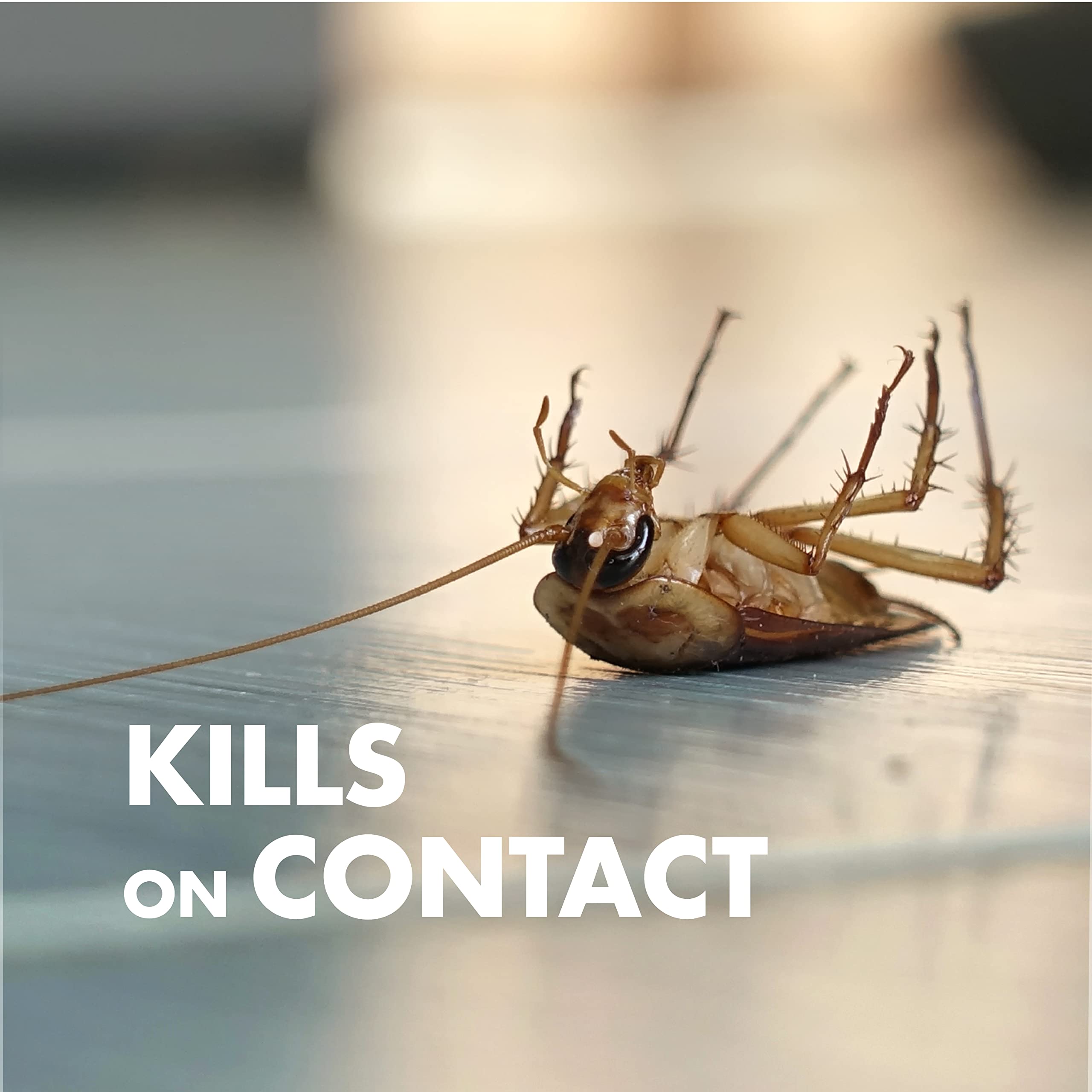 Spectracide Bug Stop Home Barrier Indoor Plus Outdoor Bug Control With Flip & Go Sprayer Kills Ants, Roaches and Spiders on Contact, 0.5 Gallon, 1 Pack - Image 7