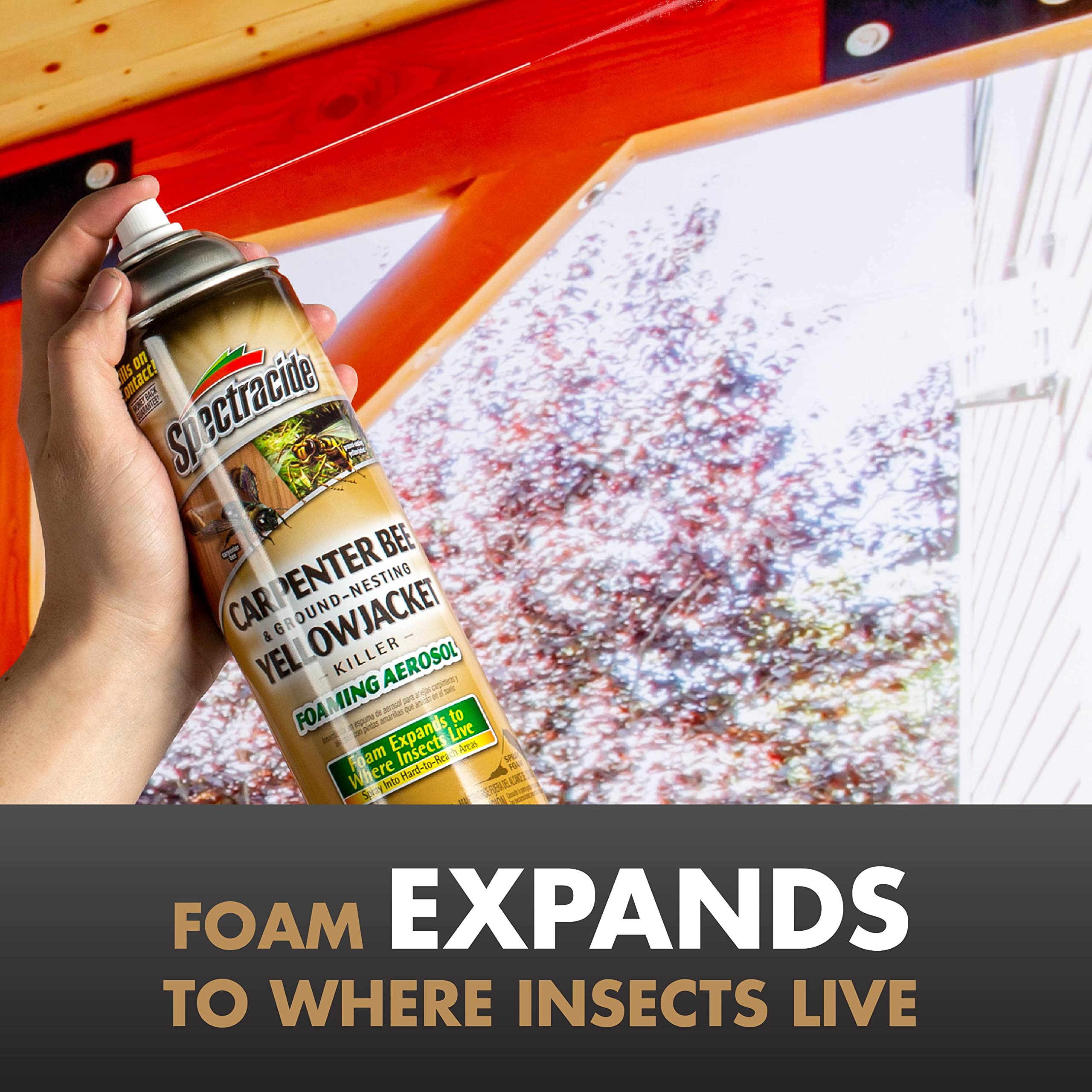 Spectracide Carpenter Bee and Ground-Nesting Yellowjacket Killer Foaming Aerosol 16 Ounces, Expands to Where Insects Live, 3 Pack - Image 4