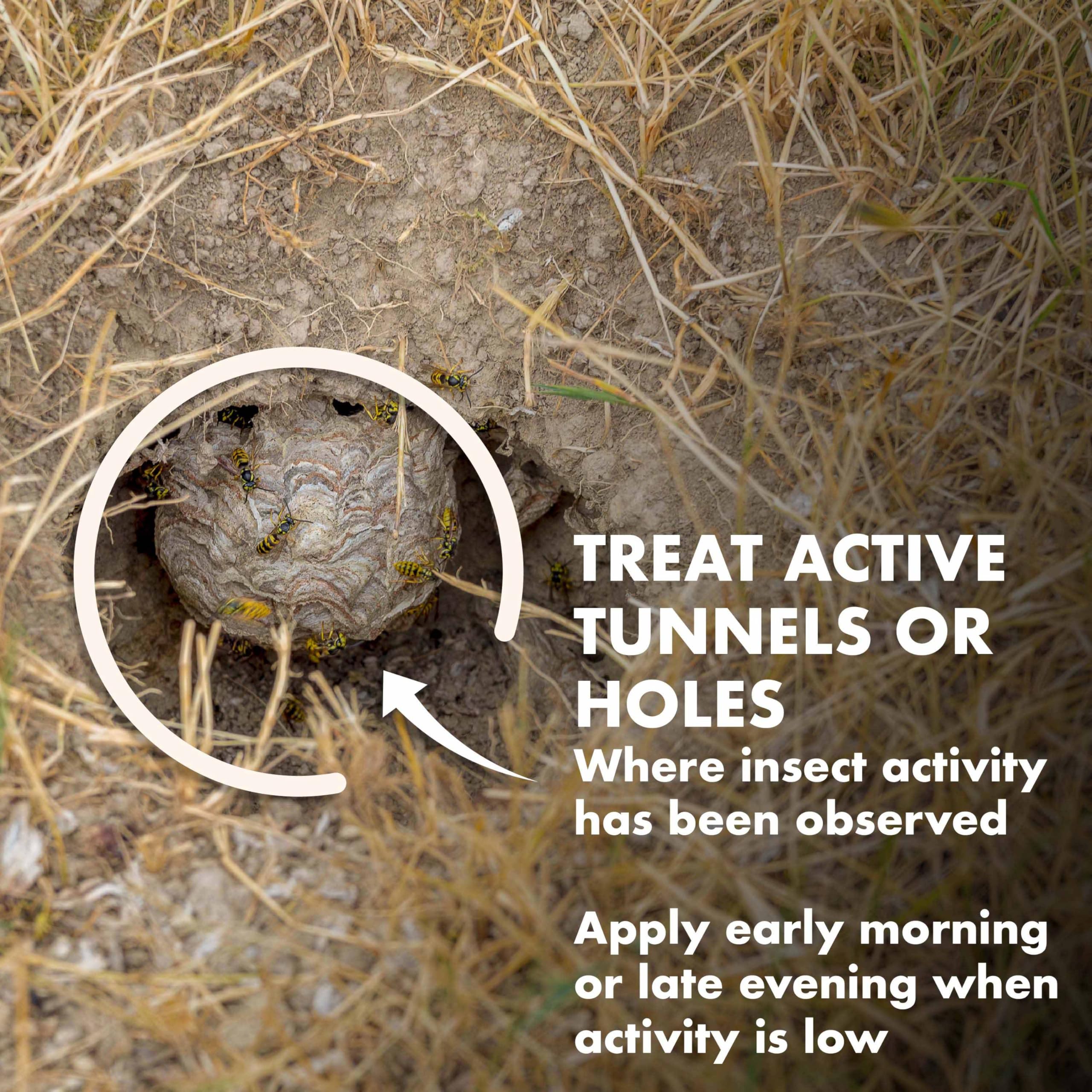 Spectracide Carpenter Bee and Ground-Nesting Yellowjacket Killer Foaming Aerosol 16 Ounces, Expands to Where Insects Live, 3 Pack - Image 7