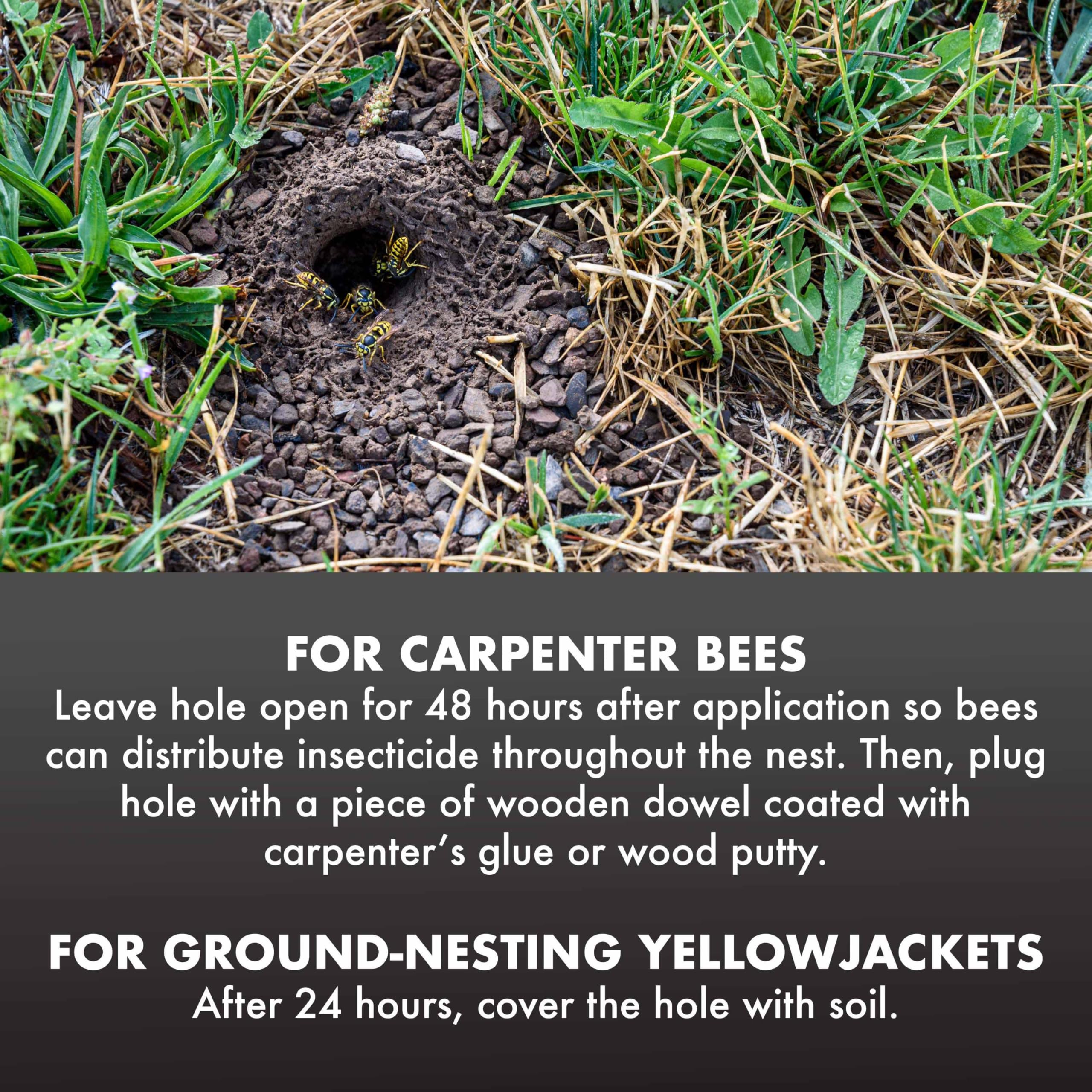 Spectracide Carpenter Bee and Ground-Nesting Yellowjacket Killer Foaming Aerosol 16 Ounces, Expands to Where Insects Live, 3 Pack - Image 8