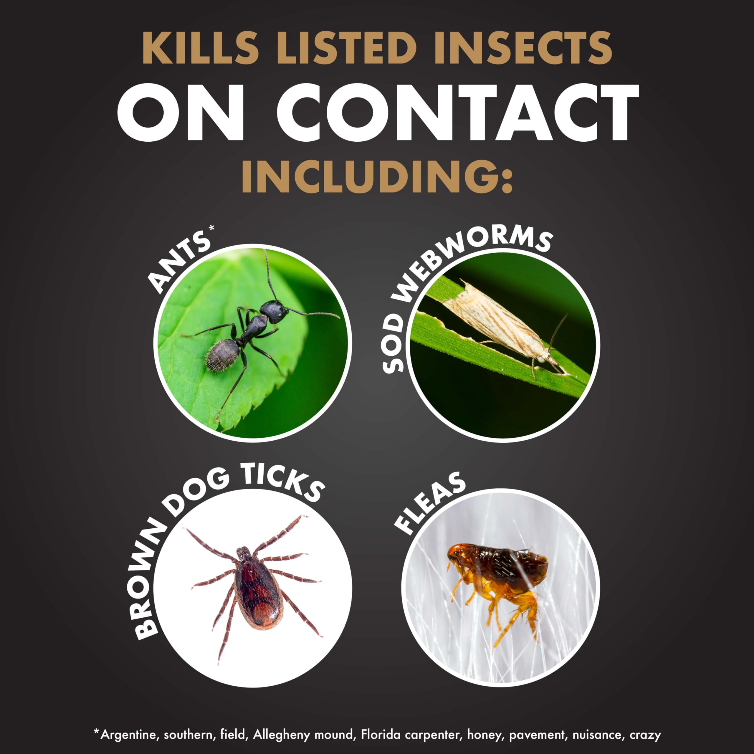 Spectracide Immunox Fungus Plus Insect Control For Lawns 32 Ounces, Dual Action, Hose-End Concentrate - Image 3