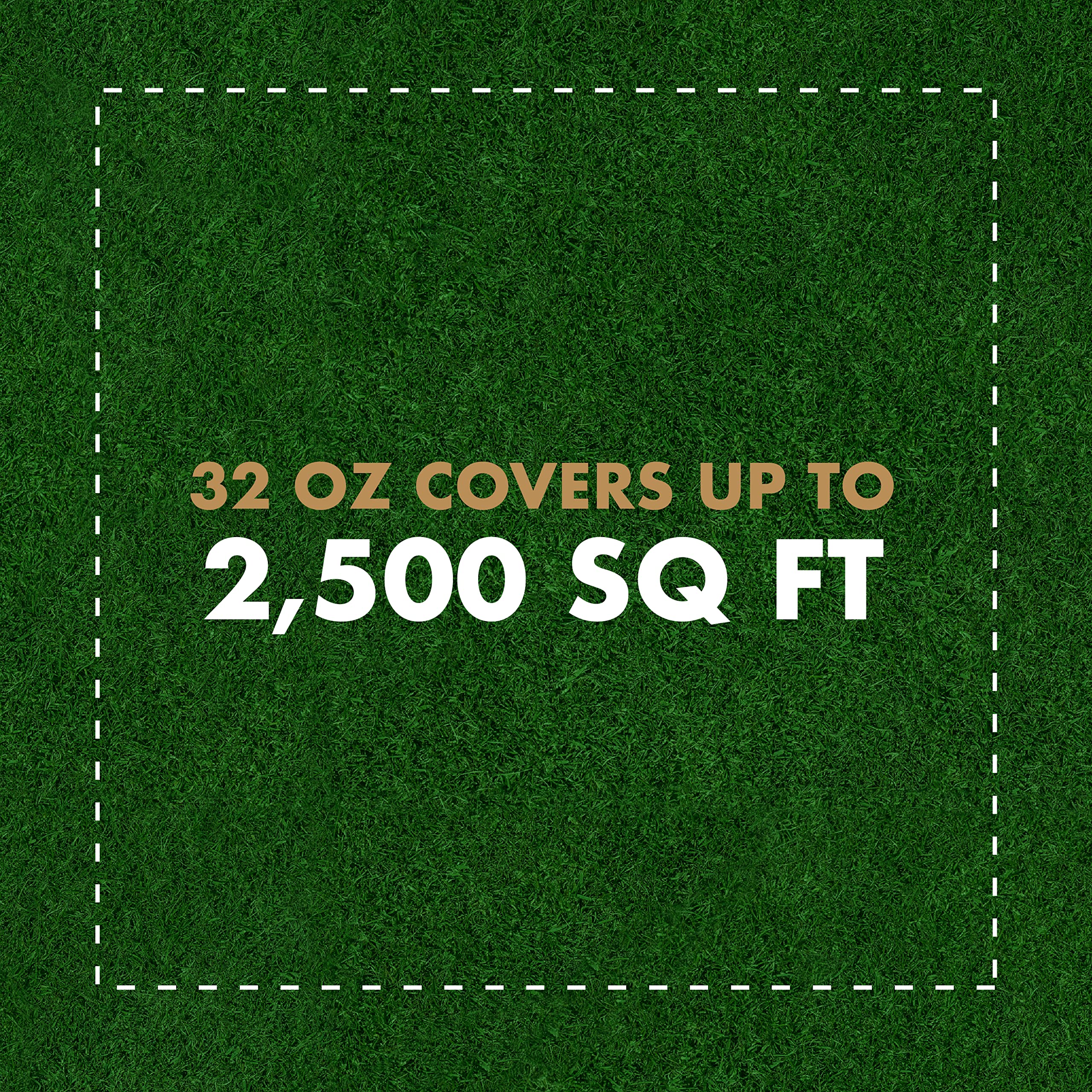 Spectracide Immunox Fungus Plus Insect Control For Lawns 32 Ounces, Dual Action, Hose-End Concentrate - Image 5