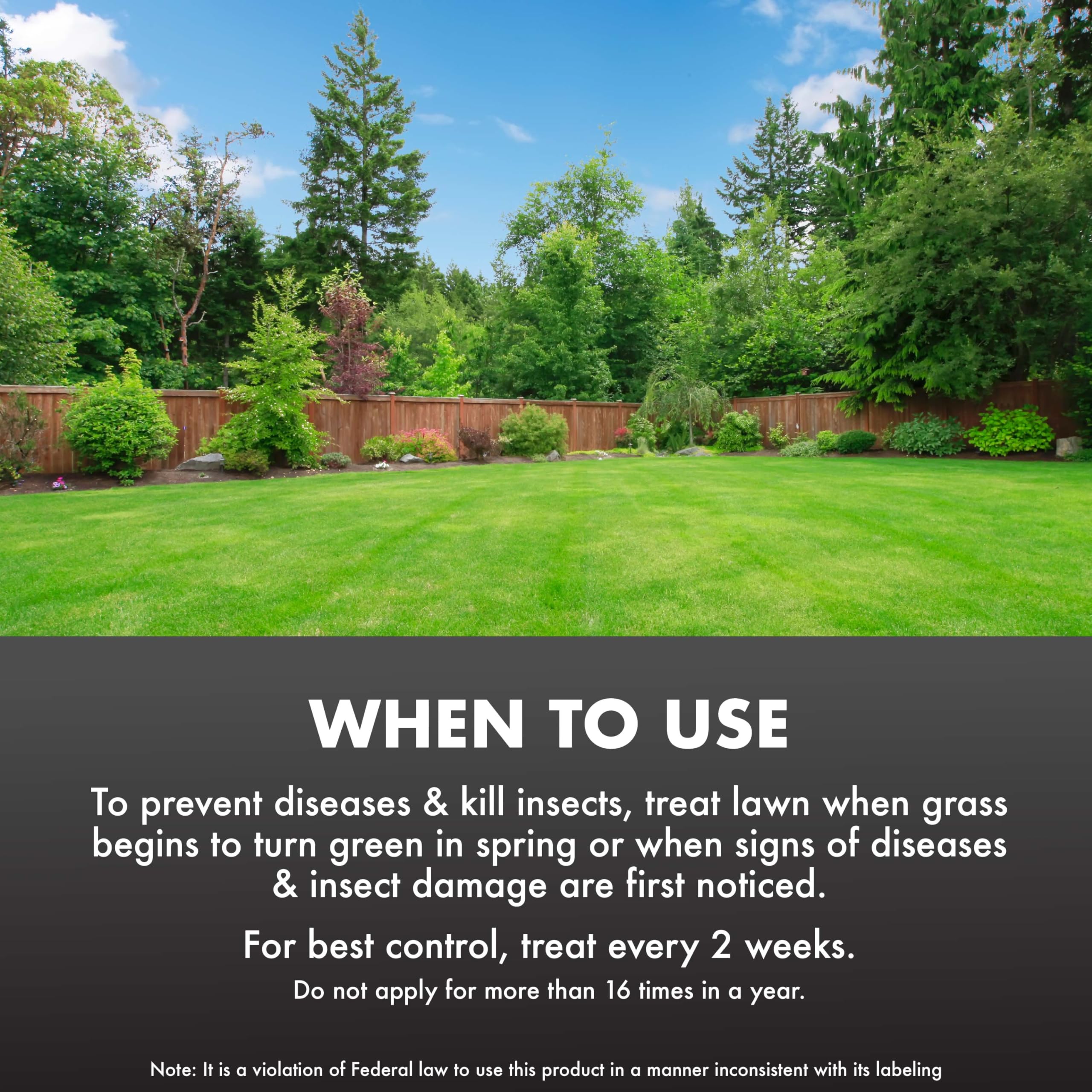 Spectracide Immunox Fungus Plus Insect Control For Lawns 32 Ounces, Dual Action, Hose-End Concentrate - Image 7