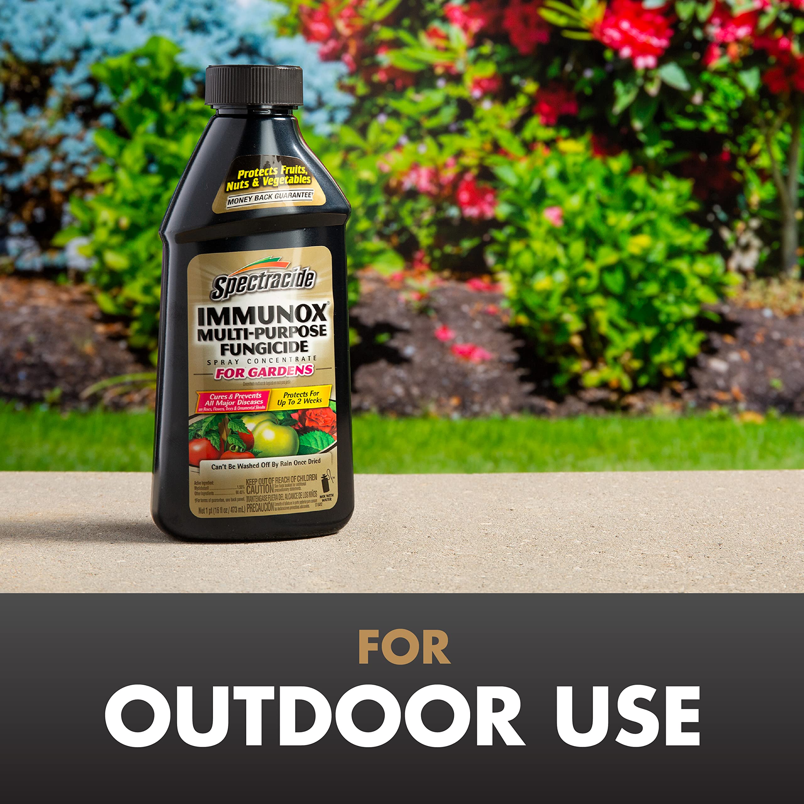 Spectracide Immunox Multi-Purpose Fungicide Spray Concentrate For Gardens 16 Ounces, Protects Up To 2 Weeks - Image 4