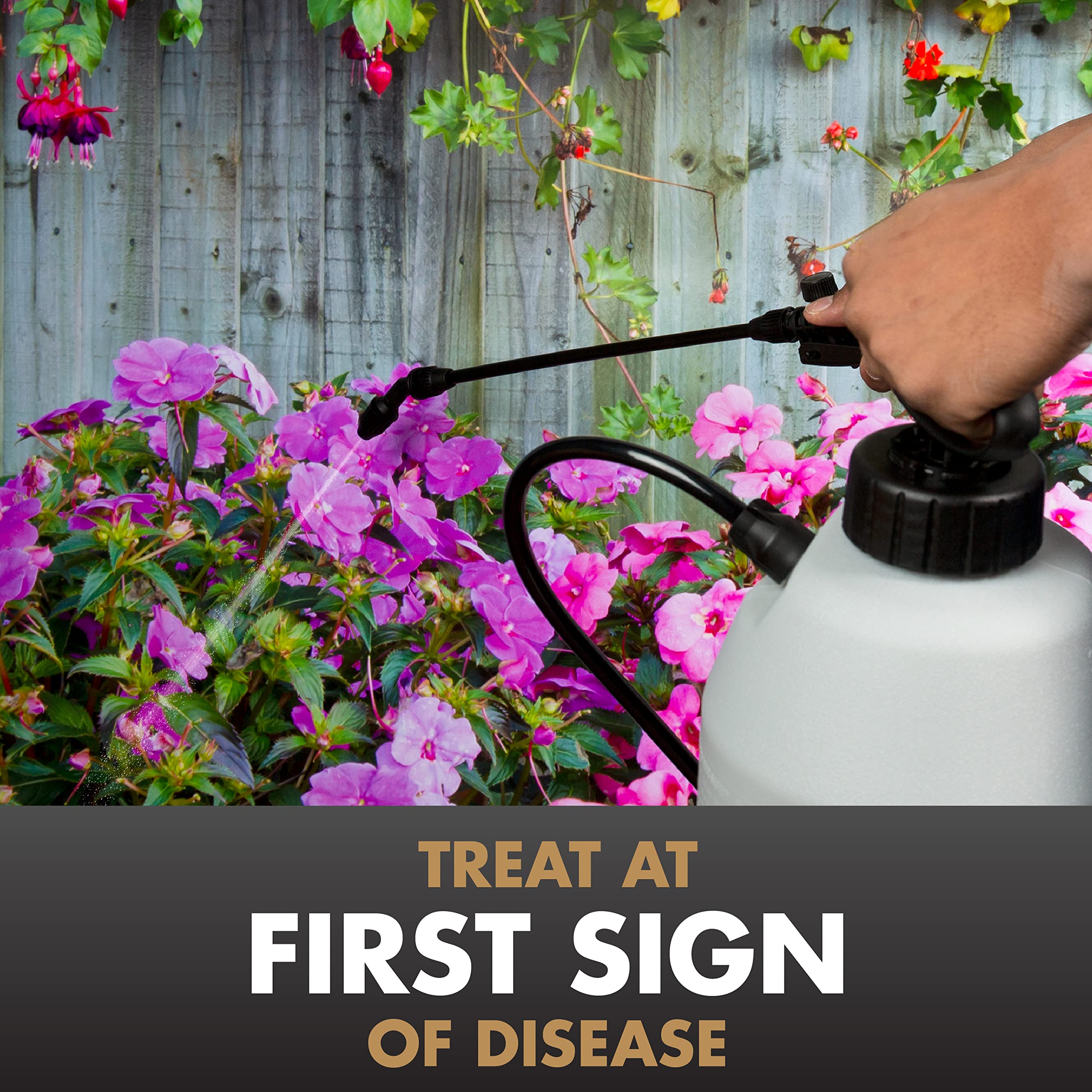 Spectracide Immunox Multi-Purpose Fungicide Spray Concentrate For Gardens 16 Ounces, Protects Up To 2 Weeks - Image 5