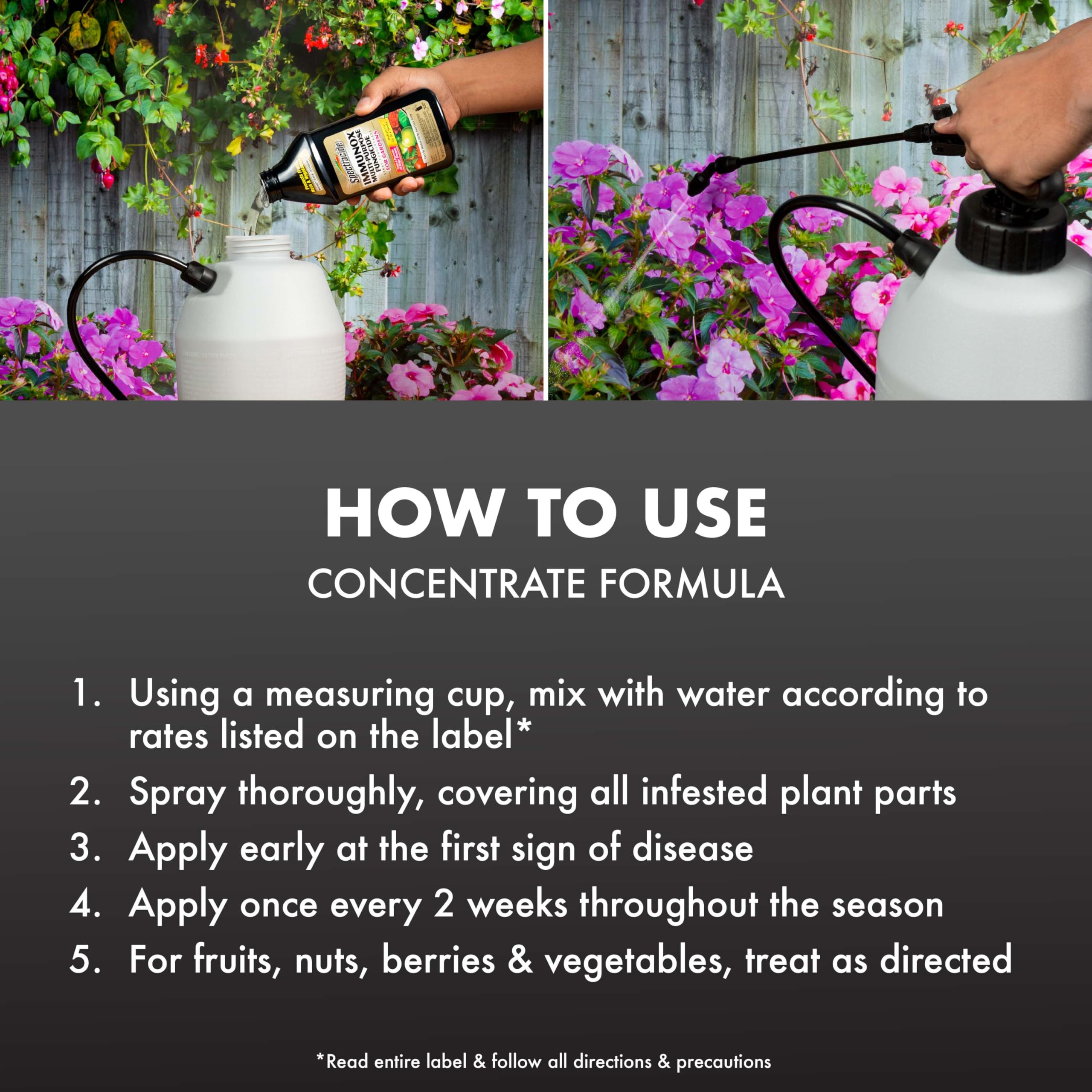 Spectracide Immunox Multi-Purpose Fungicide Spray Concentrate For Gardens 16 Ounces, Protects Up To 2 Weeks - Image 6