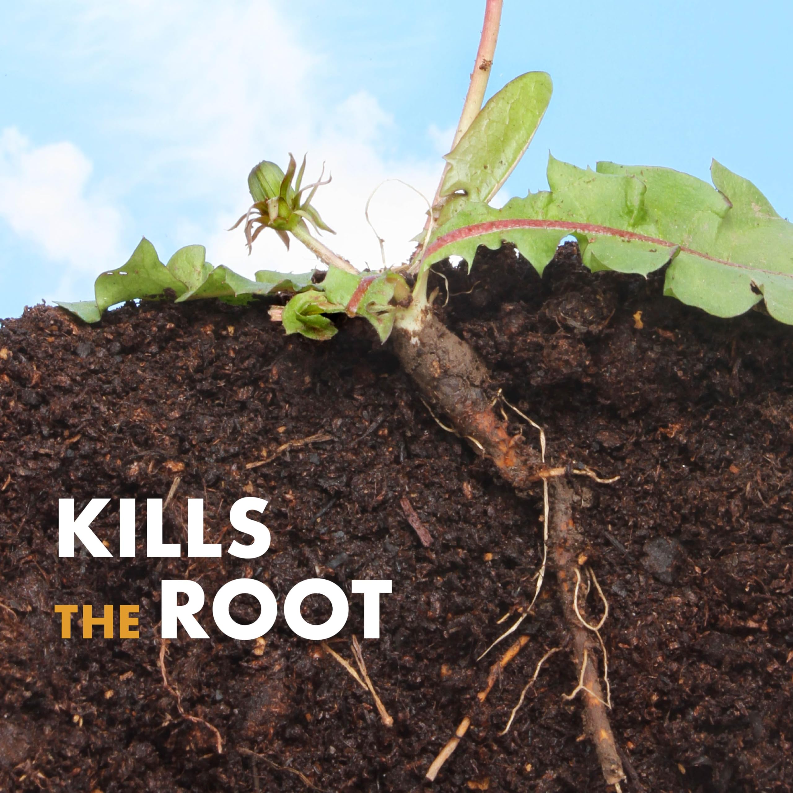 Spectracide Large Plot Weed Stop for Lawns Concentrate, 1 Gallon, Kills More Than 200 Types of Weeds as Listed - Image 4