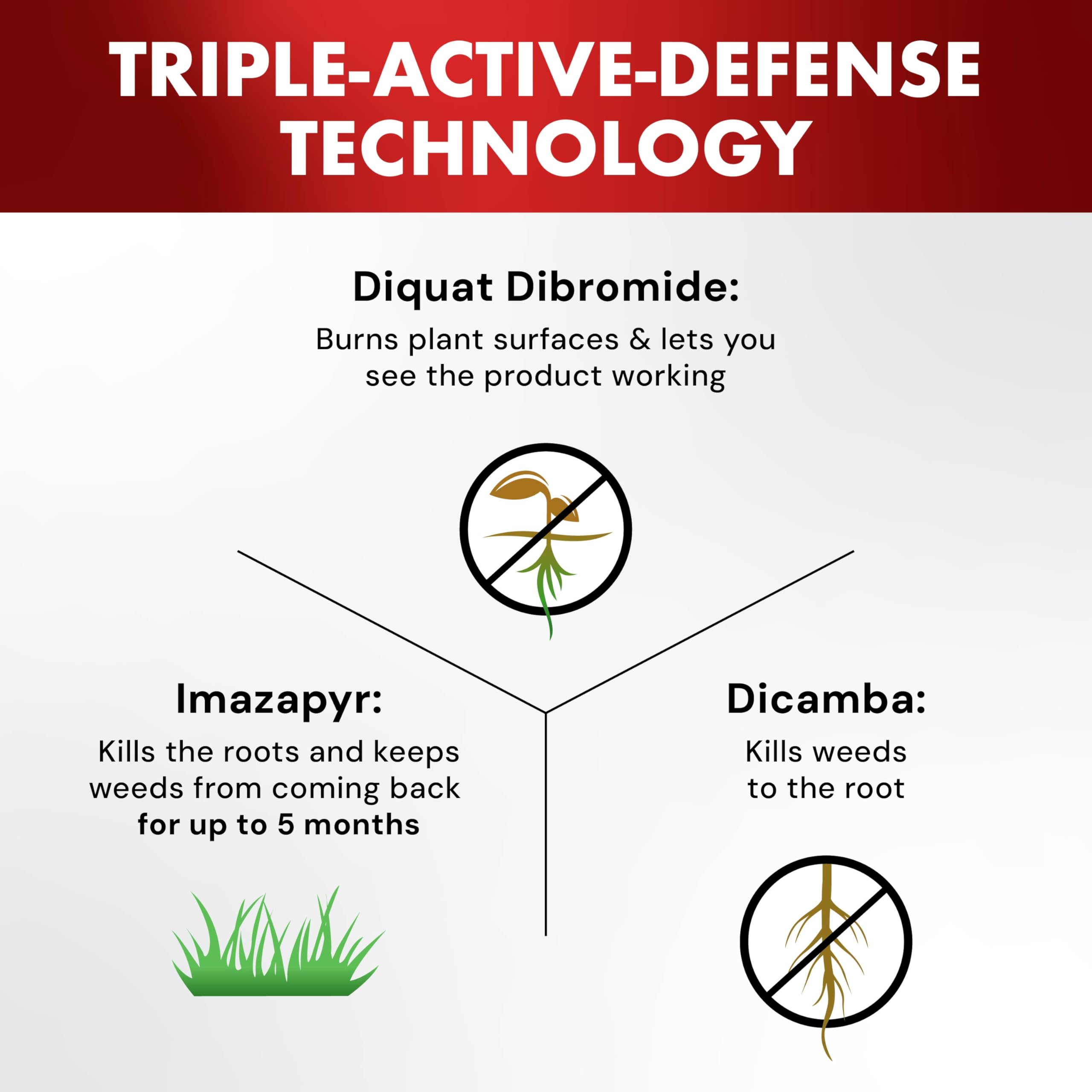 Spectracide One-Shot Weed & Grass Killer, 32 Ounce Concentrate, One Application Kills and Prevents Weeds for up to 5 Months - Image 11