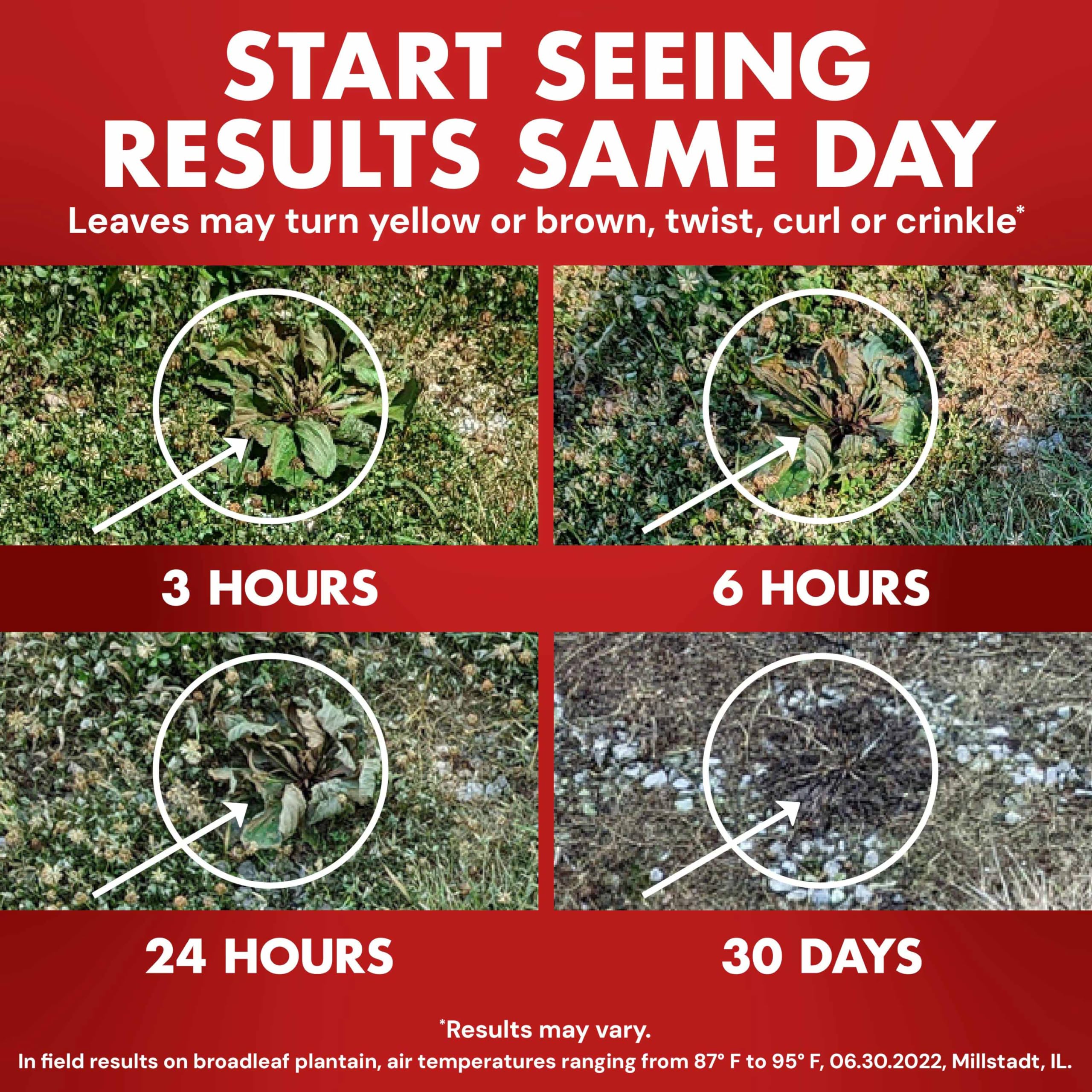 Spectracide One-Shot Weed & Grass Killer, 32 Ounce Concentrate, One Application Kills and Prevents Weeds for up to 5 Months - Image 14