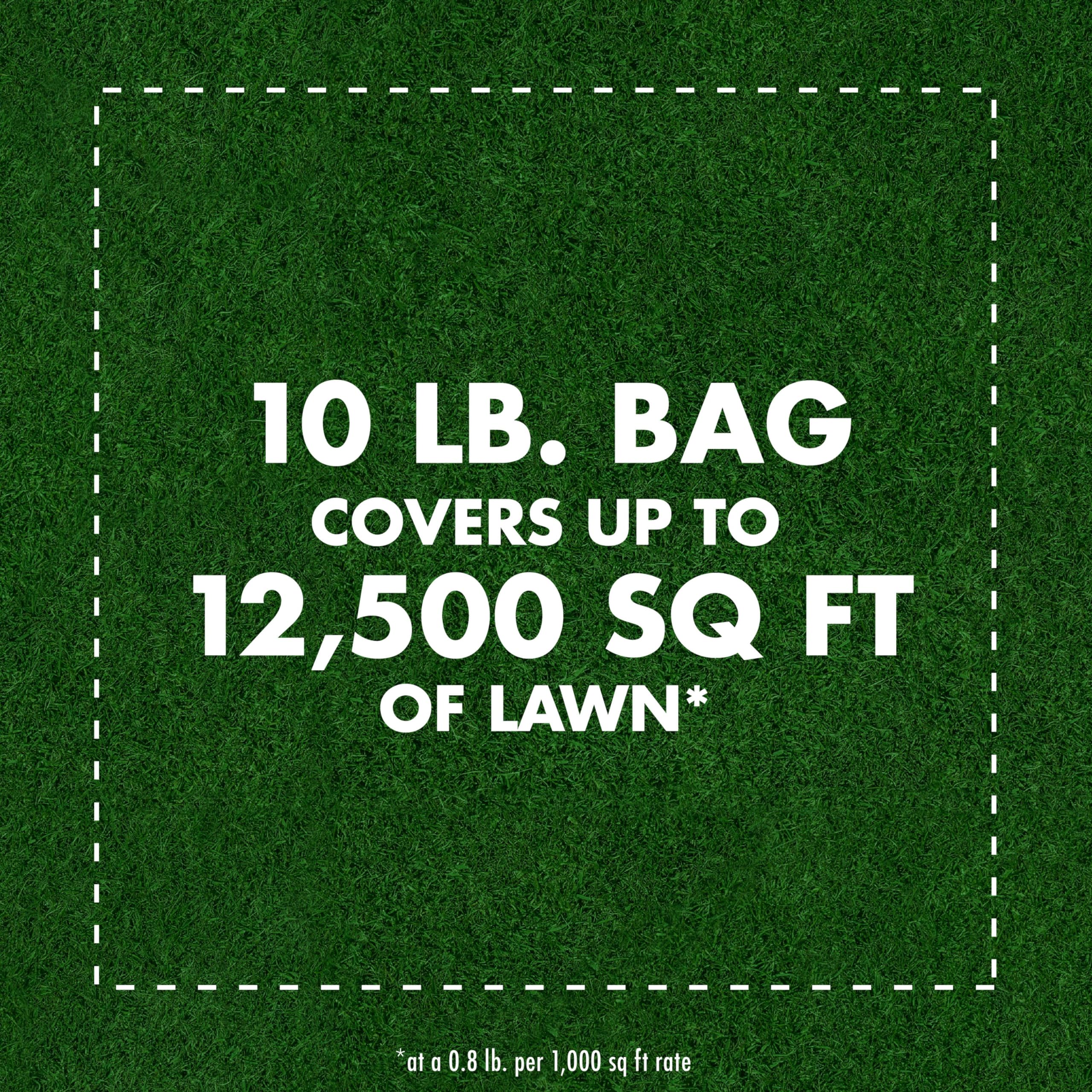 Spectracide Triazicide Insect Killer For Lawns, 10 Pounds, Granules Kill Listed Lawn-Damaging Insects, 4 Pack - Image 6