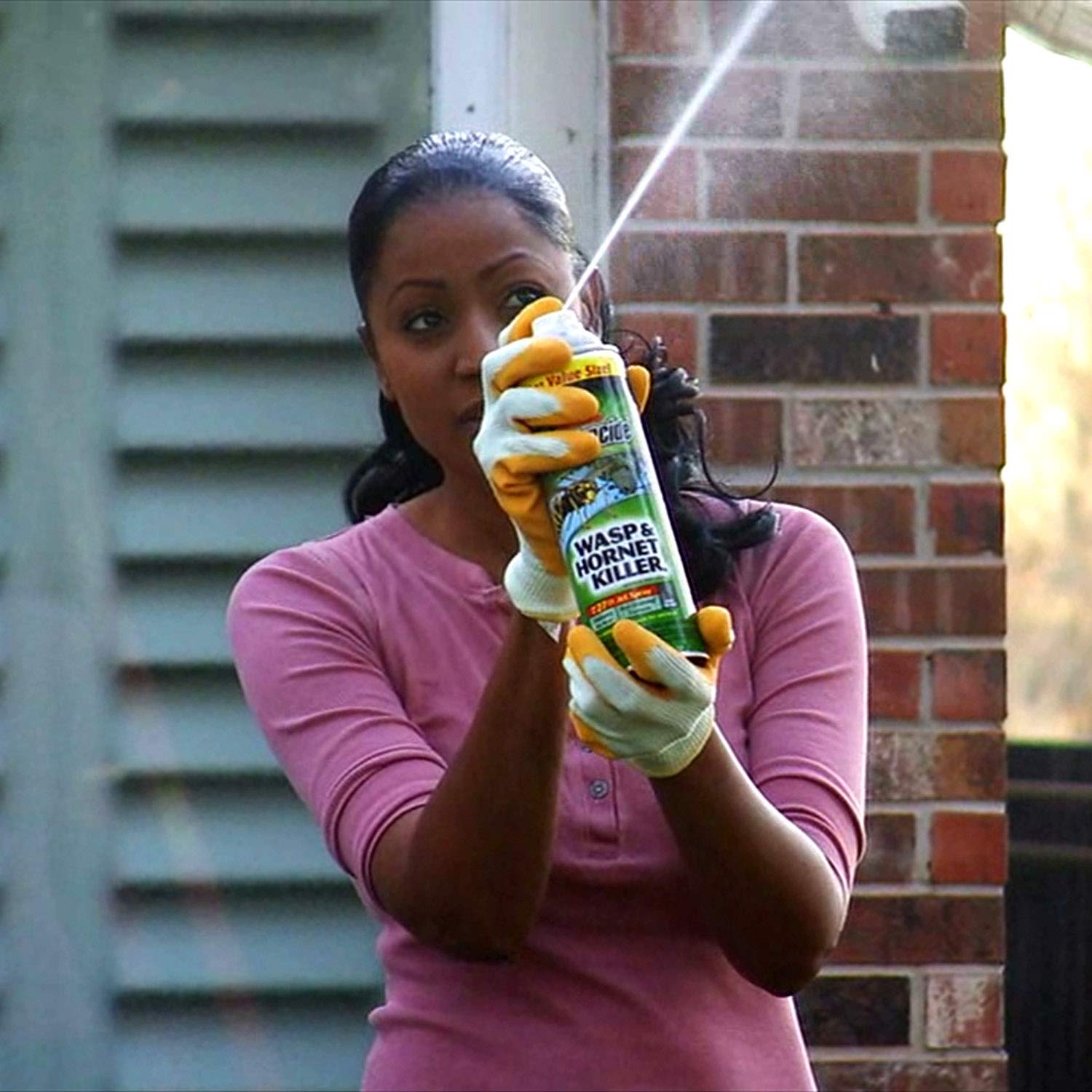 Spectracide Wasp, Hornet and Insects Killer, Kills Wasps & Hornets, 2 Count, 20 Ounce (Aerosol Spray) - Image 3