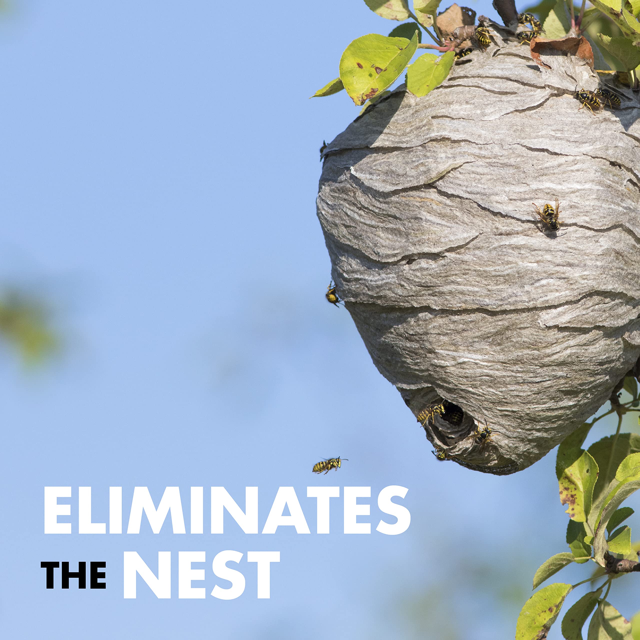 Spectracide Wasp, Hornet and Insects Killer, Kills Wasps & Hornets, 2 Count, 20 Ounce (Aerosol Spray) - Image 7