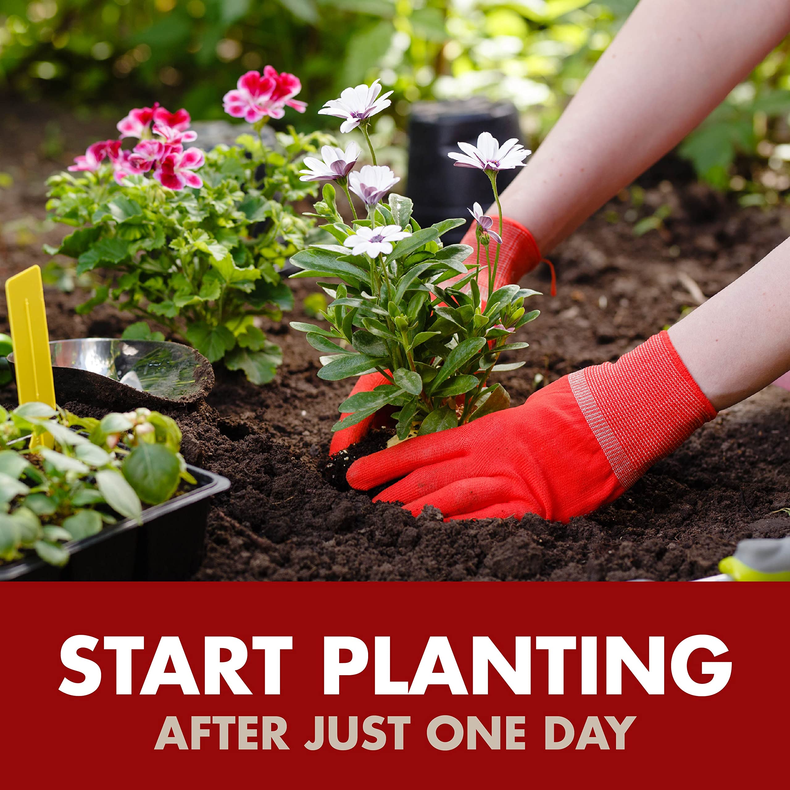 Spectracide Weed & Grass Killer Concentrate, 64-Ounce, 6 Pack - Image 8