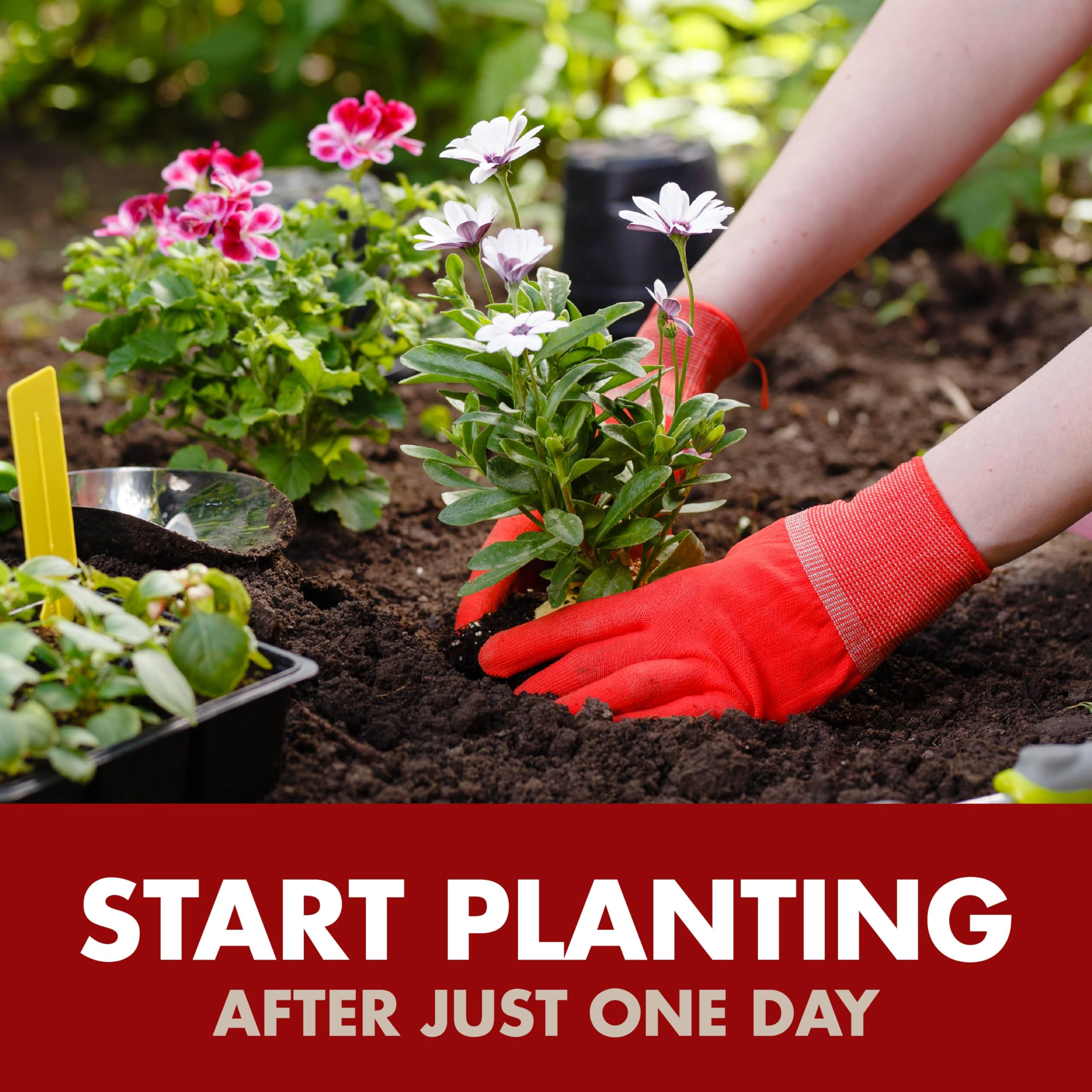 Spectracide Weed & Grass Foaming Edger (17 oz), 1 Count - Image 7