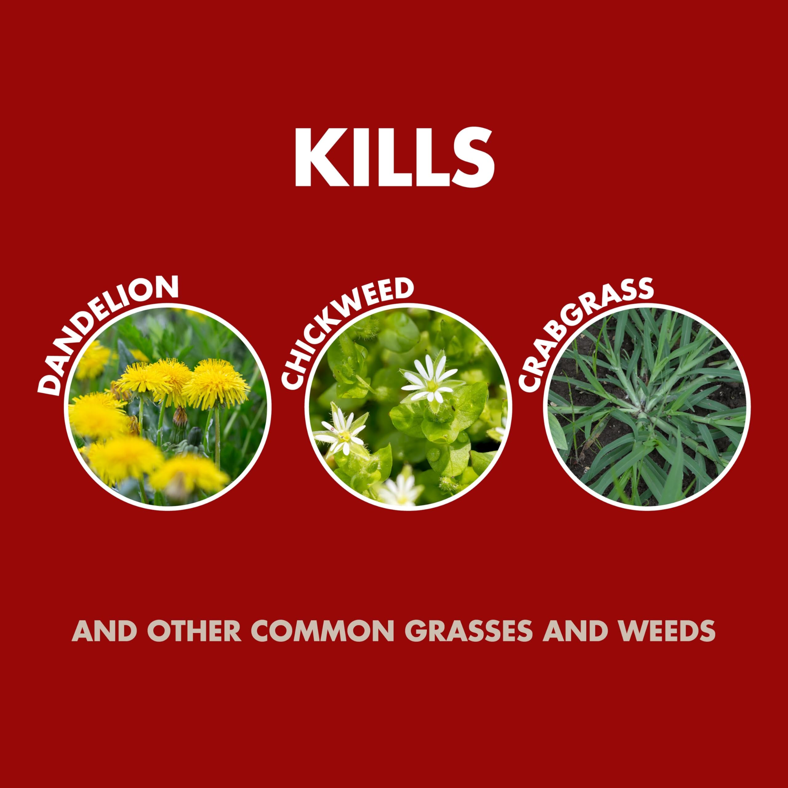 Spectracide Weed and Grass Killer Concentrate, 32 Ounces, With Accumeasure System - Image 3