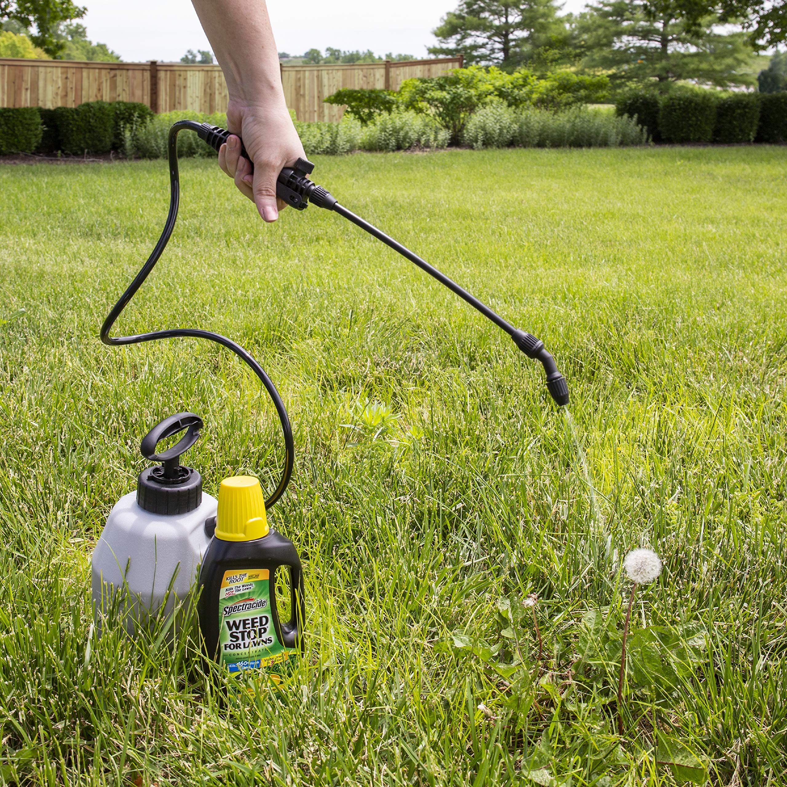 Spectracide Weed Stop For Lawns Concentrate 32 fl oz - Image 3