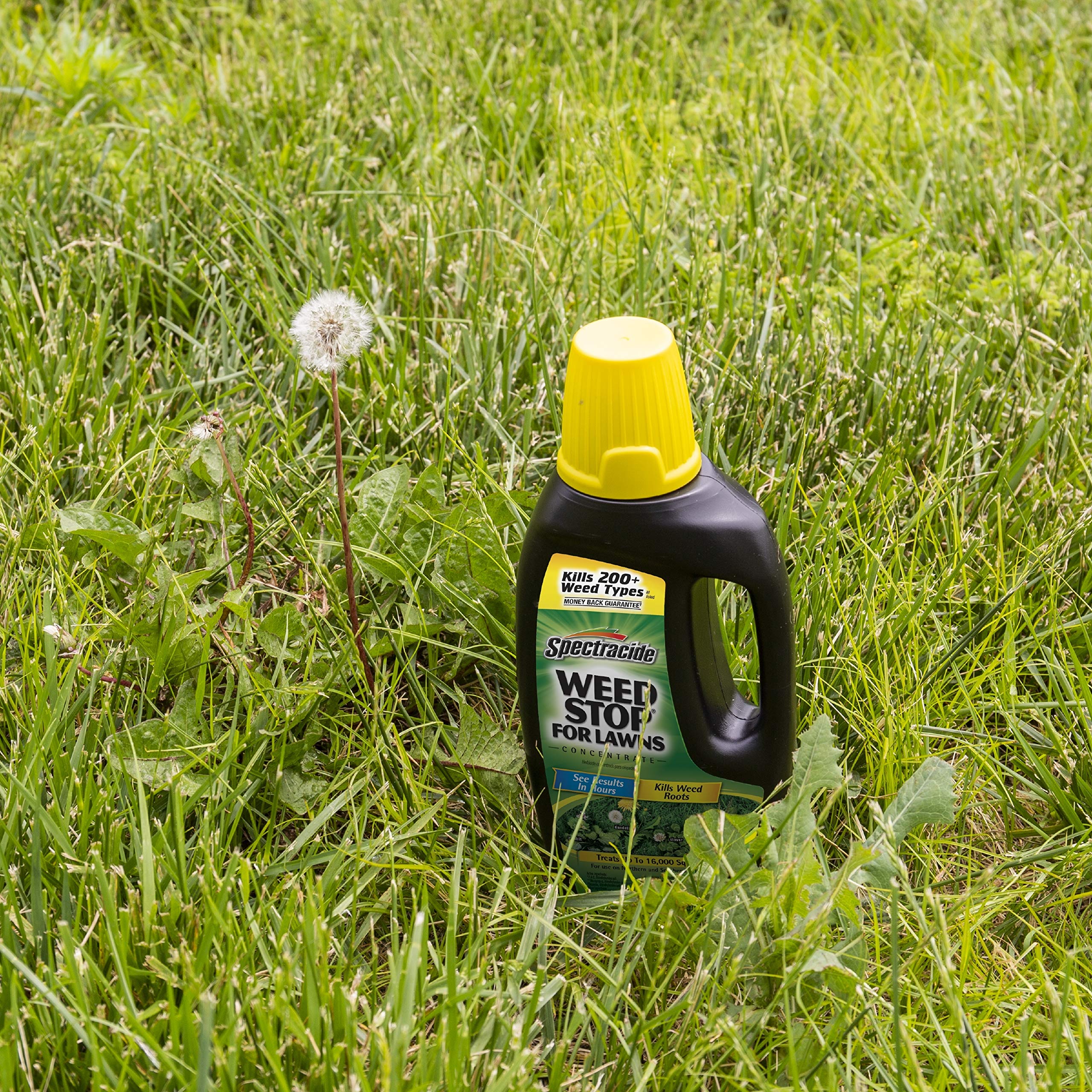 Spectracide Weed Stop For Lawns Concentrate 32 fl oz - Image 4