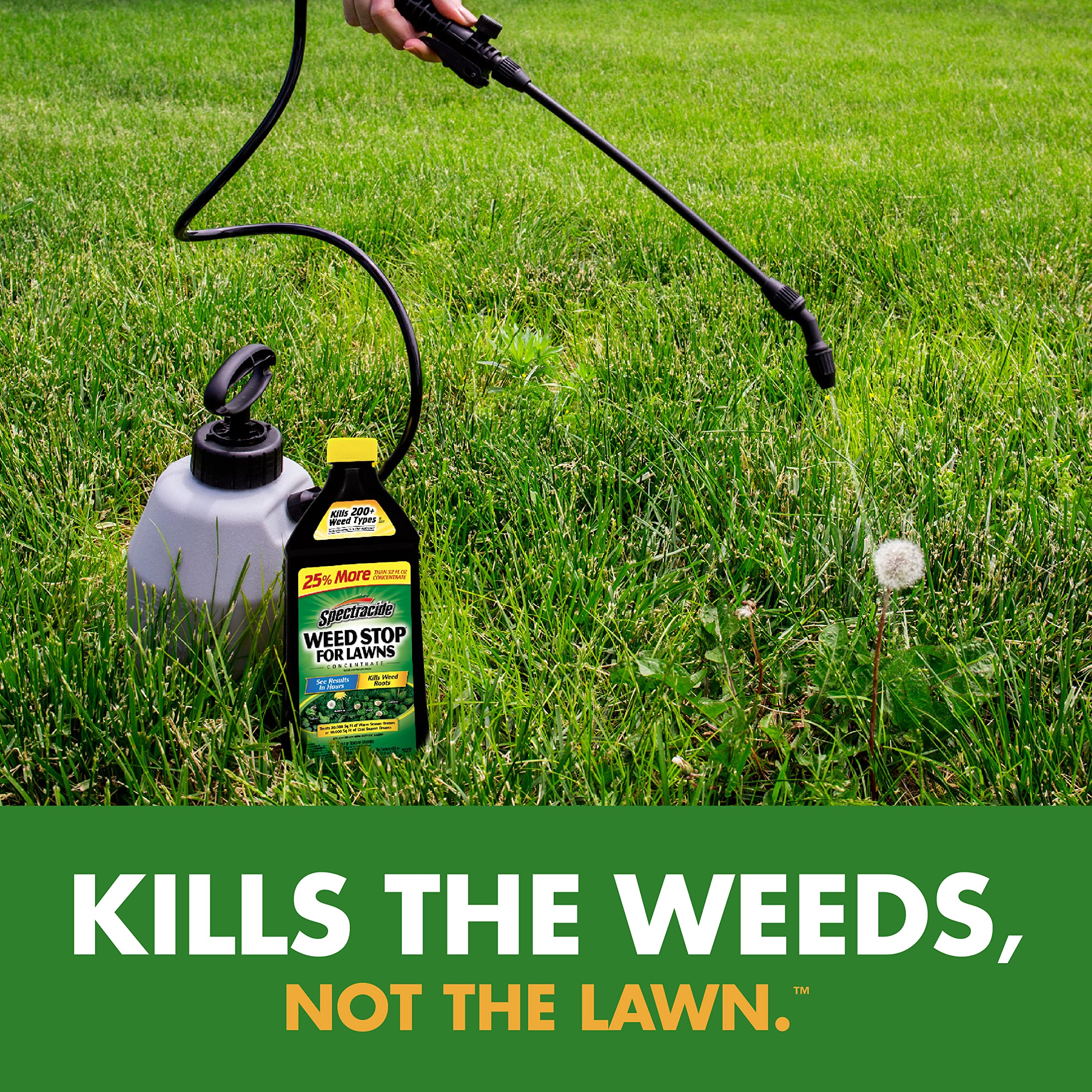 Spectracide Weed Stop For Lawns Concentrate, Kills Weed Roots, Not The Lawn, 40 fl Ounce - Image 3
