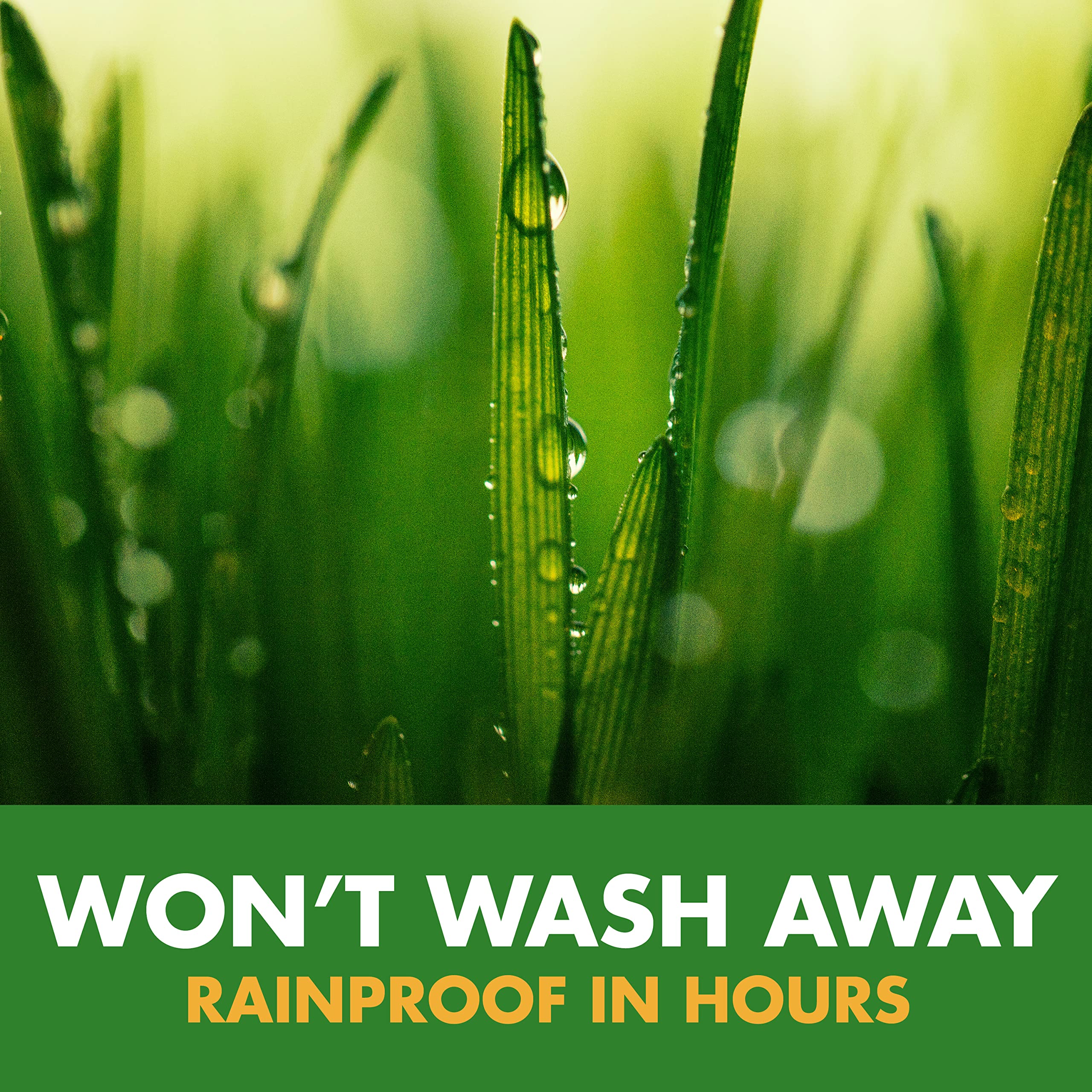 Spectracide Weed Stop For Lawns Concentrate, Kills Weed Roots, Not The Lawn, 40 fl Ounce - Image 6