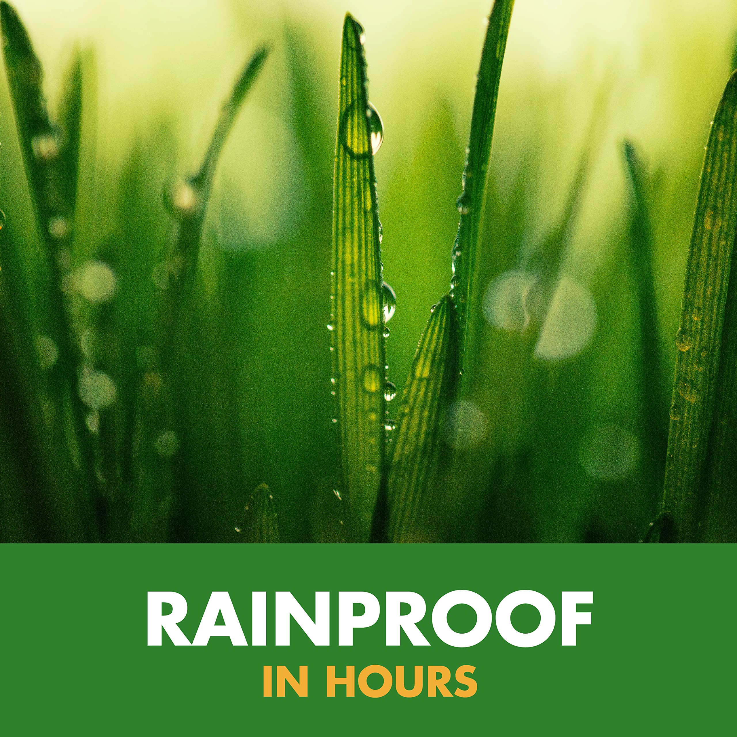 Spectracide Weed Stop For Lawns Concentrate, Ready To Spray, 32 Ounce, 1 Pack - Image 8