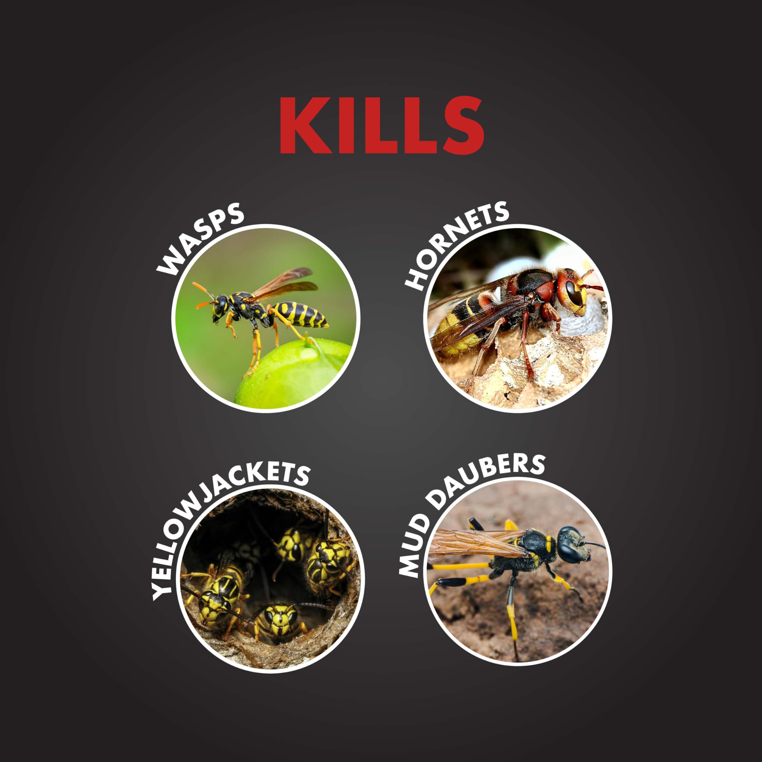 SpectracidePRO Wasp & Hornet Killer 18 Ounces, 20-Foot Jet Spray - Image 3